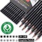 Professional Drawing Sketching Pencil Set - 12 Pieces,Graphite,(14B - 2H), Graphite Drawing, Artist Pencils for Beginners,Shading,Sketching,Drawing Art